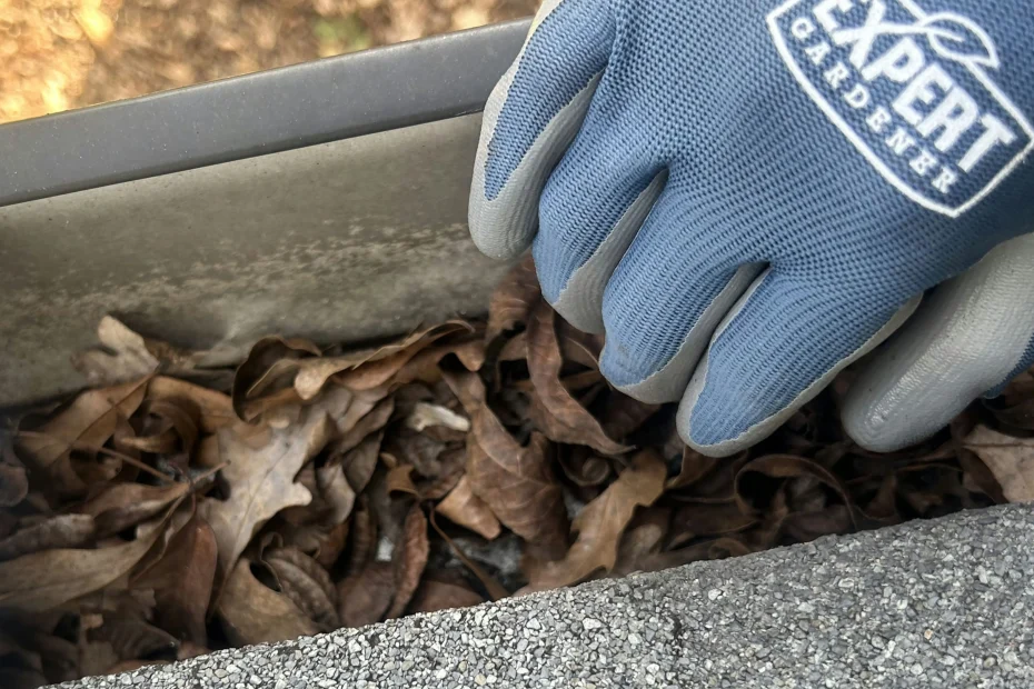 Gutter Cleaning Richardson TX