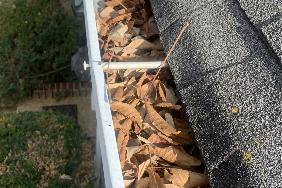 Gutter Cleaning Richardson TX